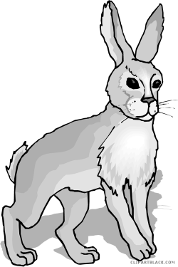 Gray Rabbit Clipart - ClipartBlack.com