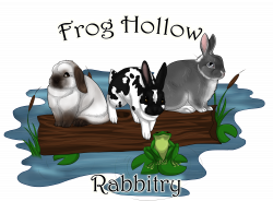 Frog Hollow – Hollands, Mini Rex and Mini Satins