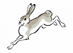 Free Rabbit Clipart - Jack Rabbit Clipart Free - rabbit ...