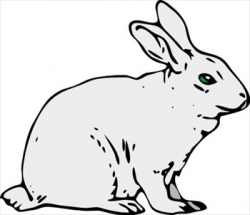 Free Rabbit Images Free, Download Free Clip Art, Free Clip ...