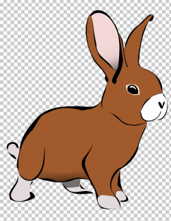 Rabbit Hare PNG, Clipart, Blog, Clip Art, Clipart, Cuteness ...