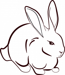 Image result for line art rabbit | Graphics | Pinterest | Rabbit
