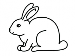 Rabbit Face Drawing | Free download best Rabbit Face Drawing ...