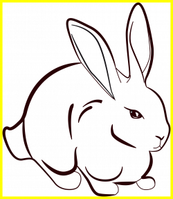 Amazing Rabbit Lineart Clipart Image For Line Drawing Trend And ...