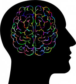 Clipart - Brain In Man Head Prismatic
