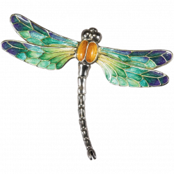 Image result for dragonfly picture no background | Fi & Vince ...