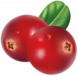 Red Cranberries Transparent PNG Clip Art Image | Gallery ...