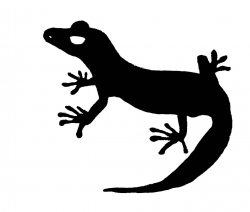Free Gecko Cliparts, Download Free Clip Art, Free Clip Art ...