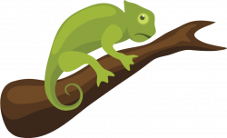 Chameleon Clipart at GetDrawings.com | Free for personal use ...
