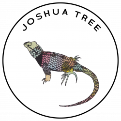 Joshua Tree Sticker Pack -12 Stickers + Free Shipping – the59project.com