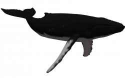 Humpback Whale Silhouette at GetDrawings.com | Free for personal use ...