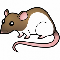 Free Animated Rat Cliparts, Download Free Clip Art, Free ...