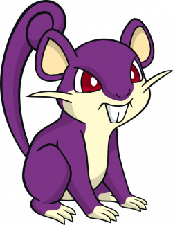 Ratta | Gabe's Pokemon Adventures Wikia | FANDOM powered by Wikia