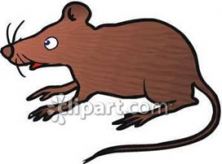 Curious Brown Rat - Royalty Free Clipart Picture