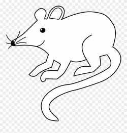 All Photo Png Clipart - Rat Black And White Transparent Png ...