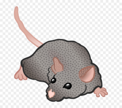 Cartoon Cat clipart - Rat, Mouse, Cartoon, transparent clip art