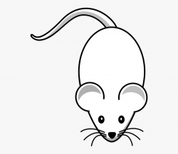 Rat Mouse Clipart White - Cartoon Mouse Png #1822109 - Free ...