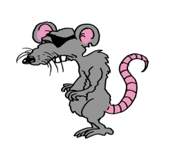 Free Cartoon Rat Pictures, Download Free Clip Art, Free Clip ...
