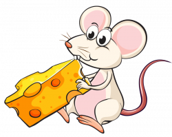Mouse Cheese Eating Clip art - Cheese Mouse 800*638 transprent Png ...