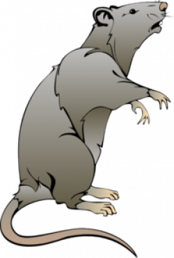 Rat Clip Art at Clker.com - vector clip art online, royalty ...