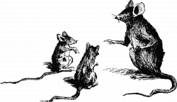 28+ Collection of Black And White Rat Drawing | High quality, free ...