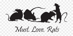 Rat Facts, Fancy Rat, Cute Rats, Rodents, Fur Babies ...