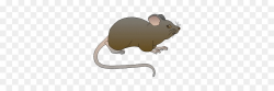 Rat Cartoon clipart - Rat, Mouse, transparent clip art