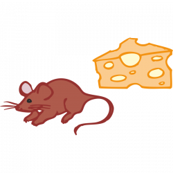 Mouse Rat Gerbil Clip art - mouse 800*800 transprent Png Free ...