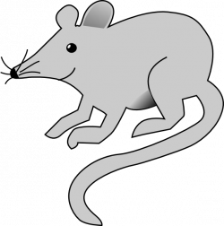 Simple Gray Mouse Clip Art at Clker.com - vector clip art online ...