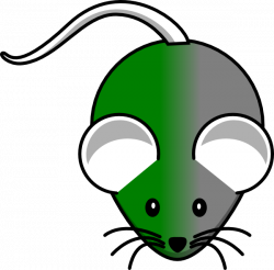 Green/gray Mouse Clip Art at Clker.com - vector clip art online ...