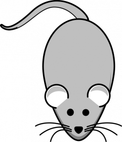 Rat Grey Clip Art at Clker.com - vector clip art online ...