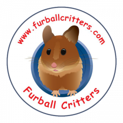 Furball Critters | Hamsters, Rats, Chinchillas| Santa Cruz, CA