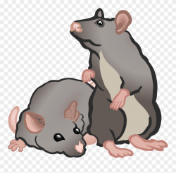 Free Clipart Of Rats Or Mice - Group Of Rats Clip Art - Png ...