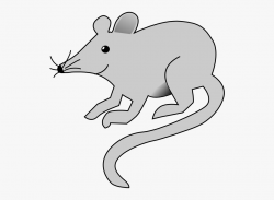Free Rat Clip Art - Mouse Clip Art , Transparent Cartoon ...