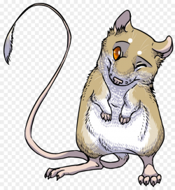 Kangaroo Cartoon clipart - Cat, Rat, Mouse, transparent clip art