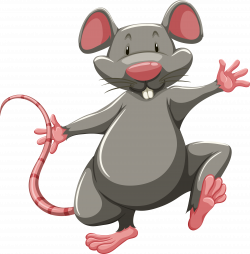 Laboratory rat Mouse Clip art - rat 4099*4176 transprent Png Free ...