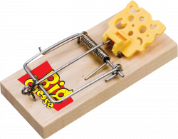 Mouse trap PNG images free download