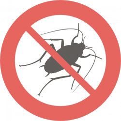 Acorn Exterminating | Pest control | North Stonington, CT