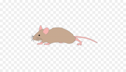 Mickey Mouse Rat Computer mouse Clip art - Mouse Running ...