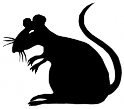 Creepy clipart rat - Clip Art Library