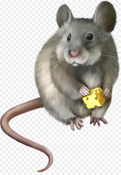Hamster Background clipart - Mouse, Rat, transparent clip art