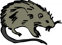 Mouse Rat Rodent clip art Free vector in Open office drawing ...