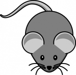 Simple Mouse Dark Grey PNG, SVG Clip art for Web - Download ...