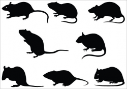 Rat silhouette clipart – Gclipart.com