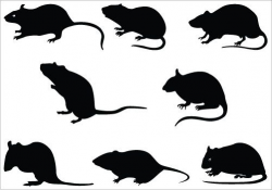 Rat Silhouette Vector | Silhouette Clip Art | Rat silhouette ...