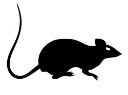 Collection of 14 free Rat clipart black death bill clipart ...