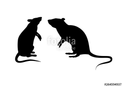 Two rats silhouette vector. Standing rat icon vector. Rats ...