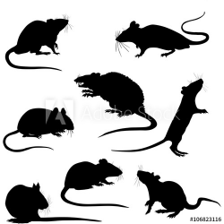 Silhouette of a rats vector clipart - Buy this stock vector ...