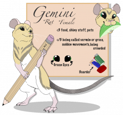Gemini Reference -Rat Fursona- by boxes-of-foxxes on DeviantArt