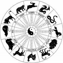 Chinese Astrology: Introduction